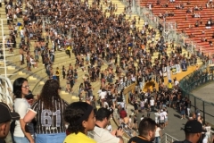 2879 18-3-18 Terraces