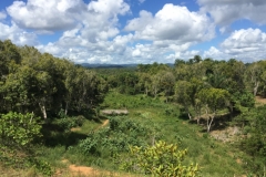 1877  8-1-18 view