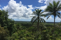 1878  8-1-18 view