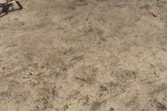 1989  15-1-18 Sand