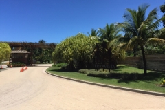 2005  16-1-18 Terravista