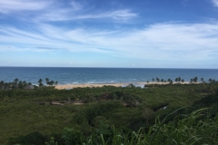2013  16-1-18 view