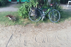 2023  16-1-18 14000 miles
