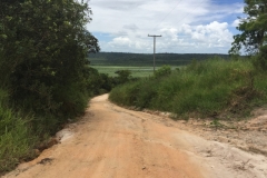 2029  17-1-18 road