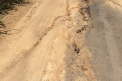 2033  17-1-18 road
