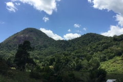 2046  18-1-18view