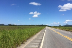 2047  18-1-18 road