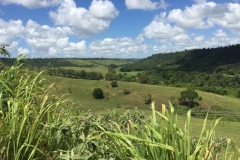 2059  19-1-18  view
