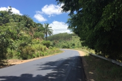 2064  19-1-18  road