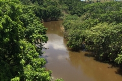 2065  19-1-18  river