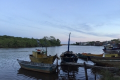 2133 23-1-18 river boats