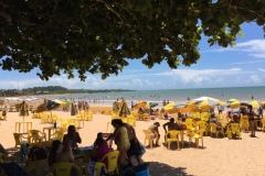 2141 24-1-18 Beach