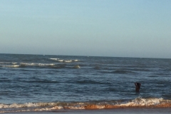 2155 25-1-18 sea bather