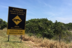 2169 27-1-18 beware snakes