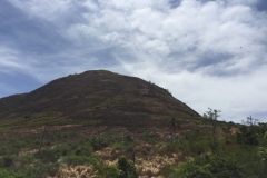2176 28-1-18 Hill