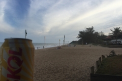 2179 28-1-18 Beach