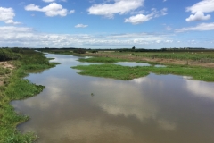 2207 1-2-18 River
