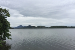 2257 4-2-18 view