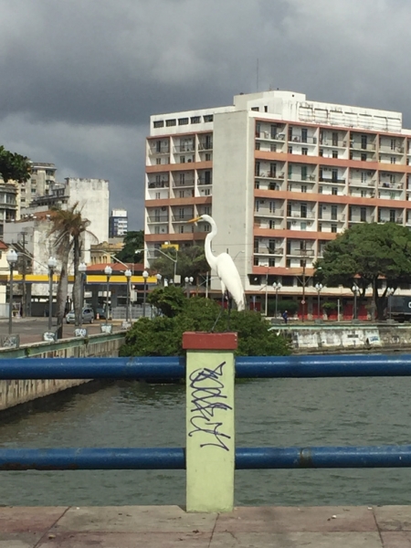 1293 10-12  Heron