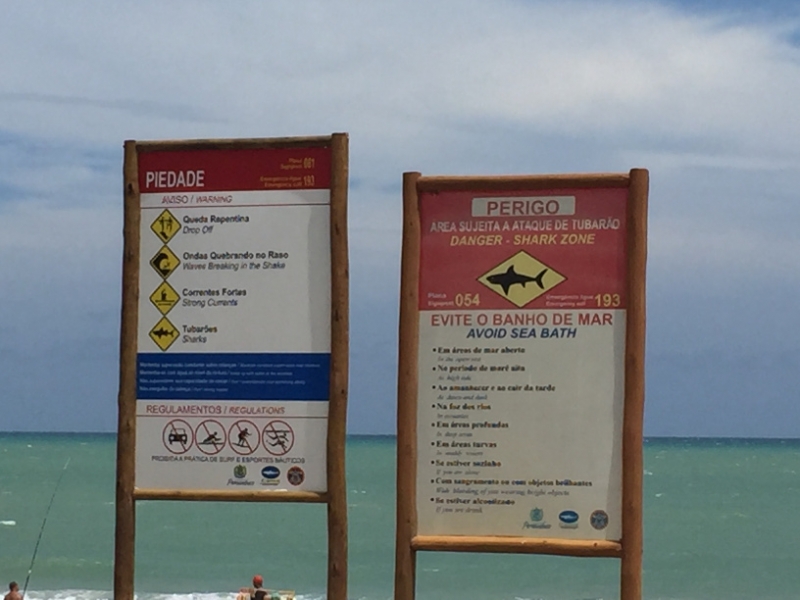 1318 10-12 Shark zone