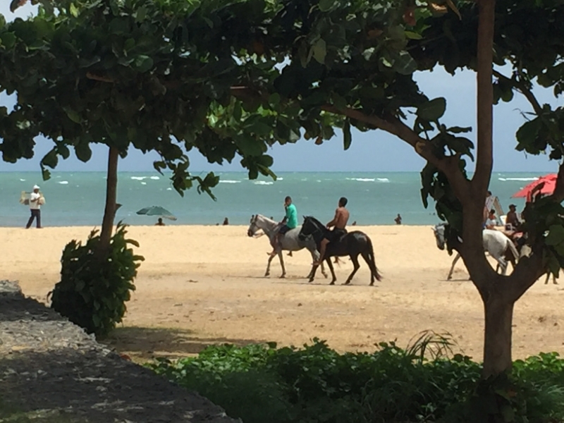 1324 10-12 Horses on the beach