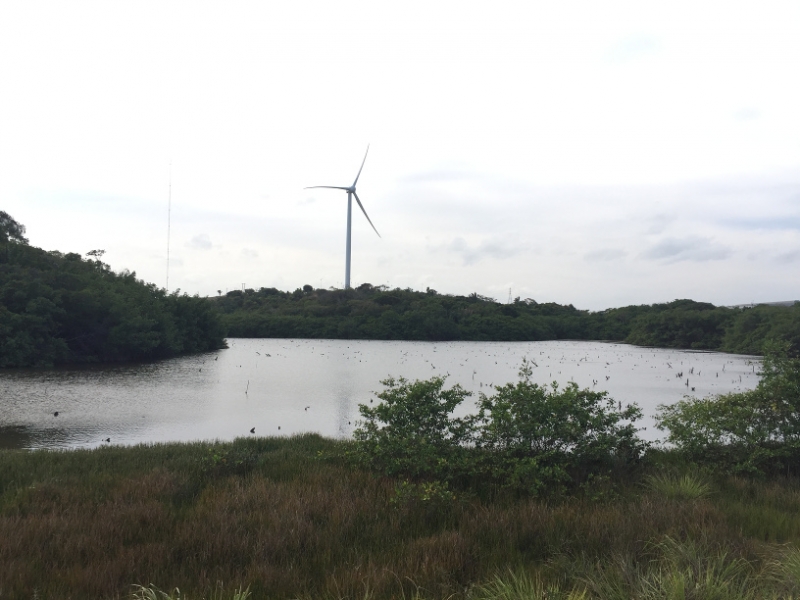 1335 10-12  Wind turbine