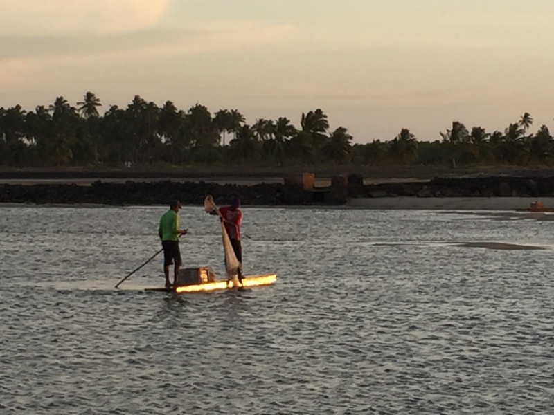1366 11-12 Sunset fishing