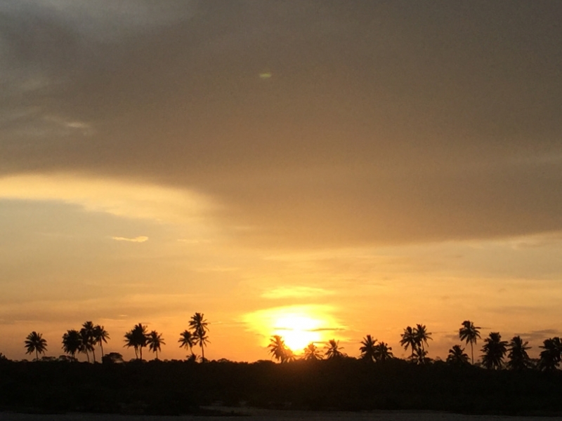 1369 11-12 Sunset