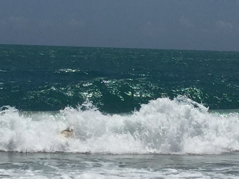 1375 12-12 surf.