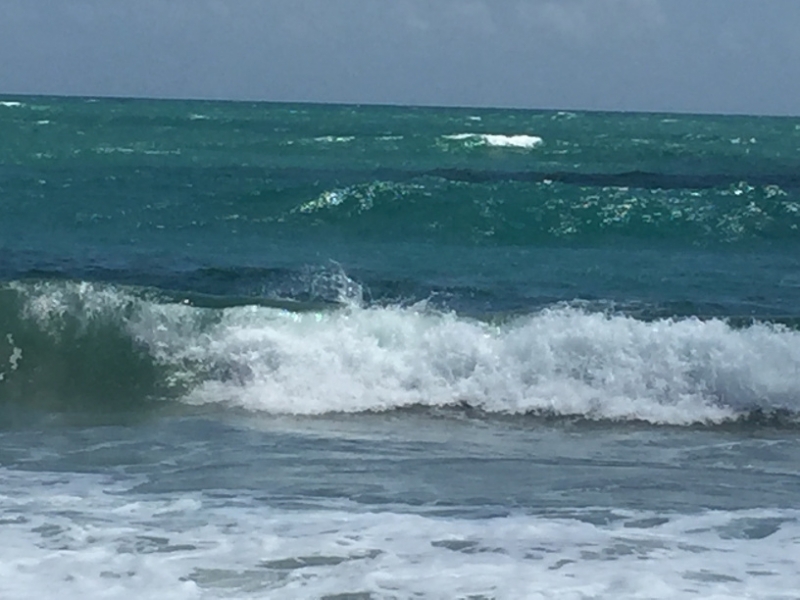 1377 12-12 surf.