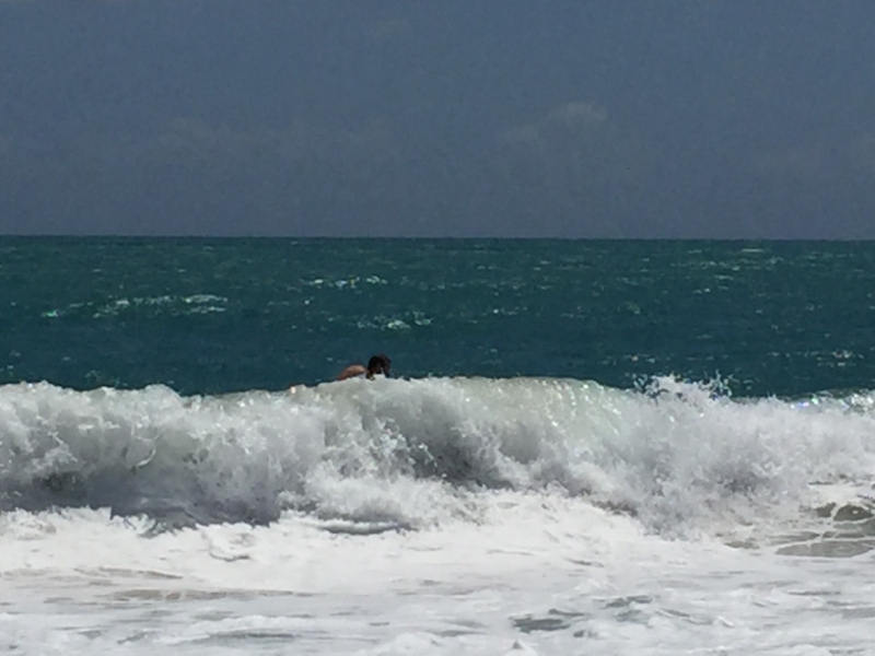 1378 12-12 surf.