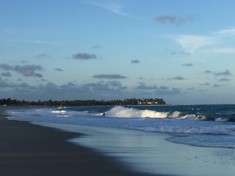 1381 12-12 surf.