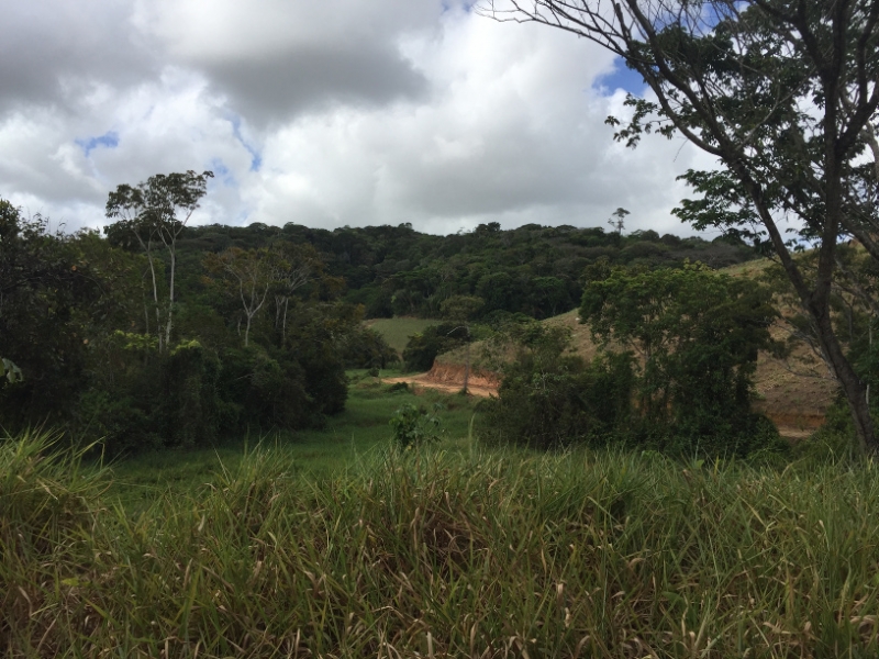 1395 13-12 View