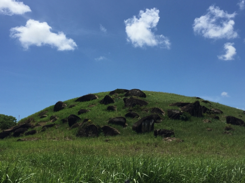 1399 13-12 Hill