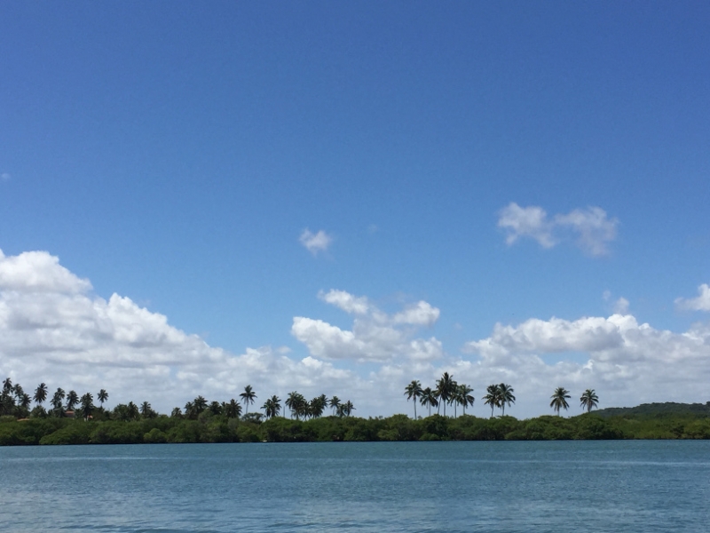 1429 14-12 shoreline