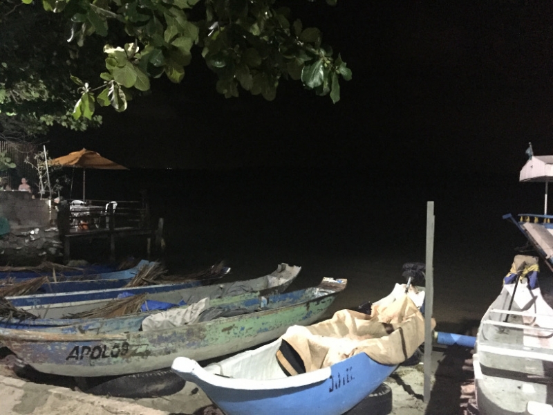 1491 17-12canoes