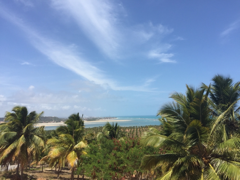 1513 18-12 view