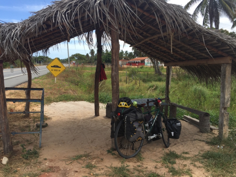 1532 19-12 Bike shelter