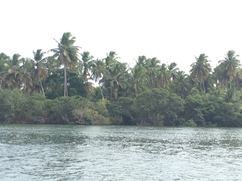 1548 19-12 shore