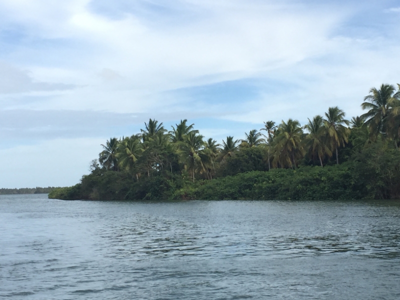 1549 19-12 shore