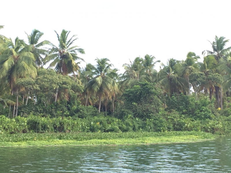 1553 19-12 shore