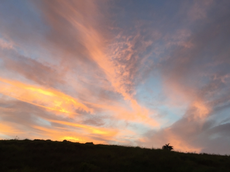 1559 19-12 Sunset