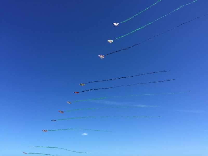 1603 25-12  kites