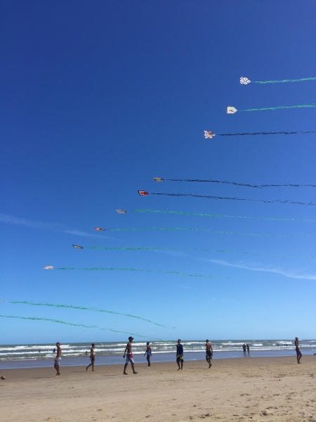 1604 25-12  kites