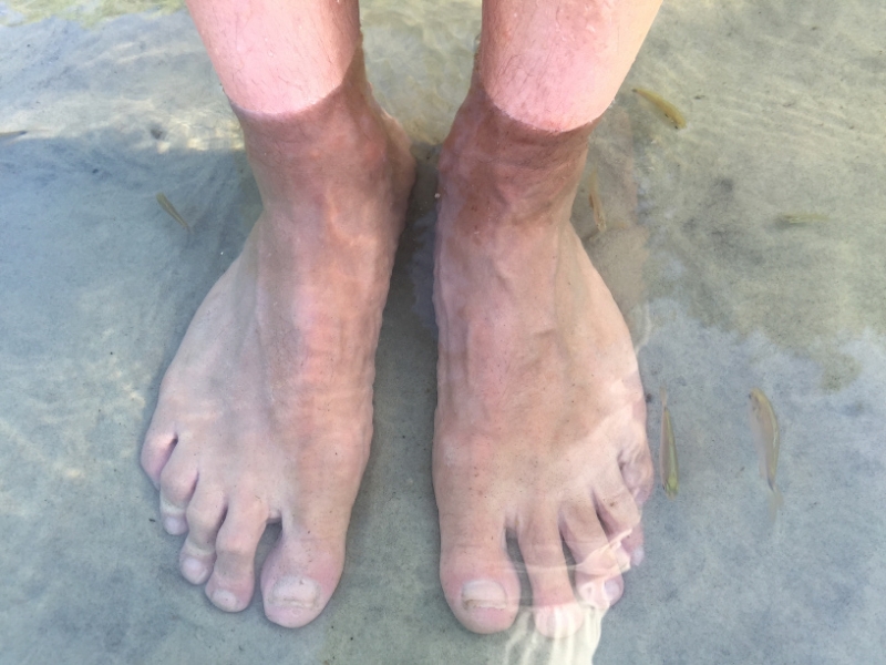 1649  27-12 Feet