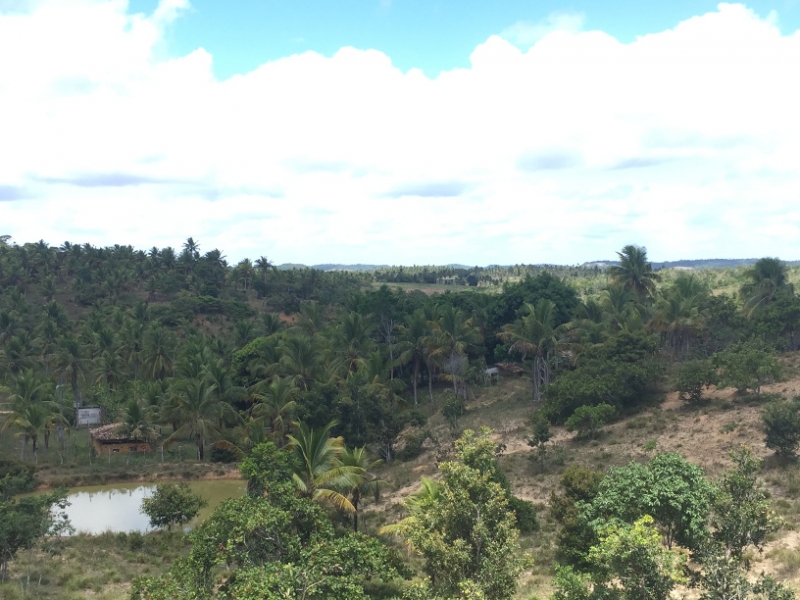 1667  28-12 view