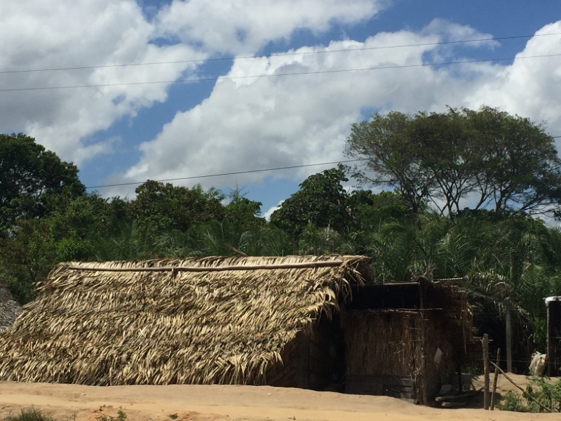 1672  28-12 thatch