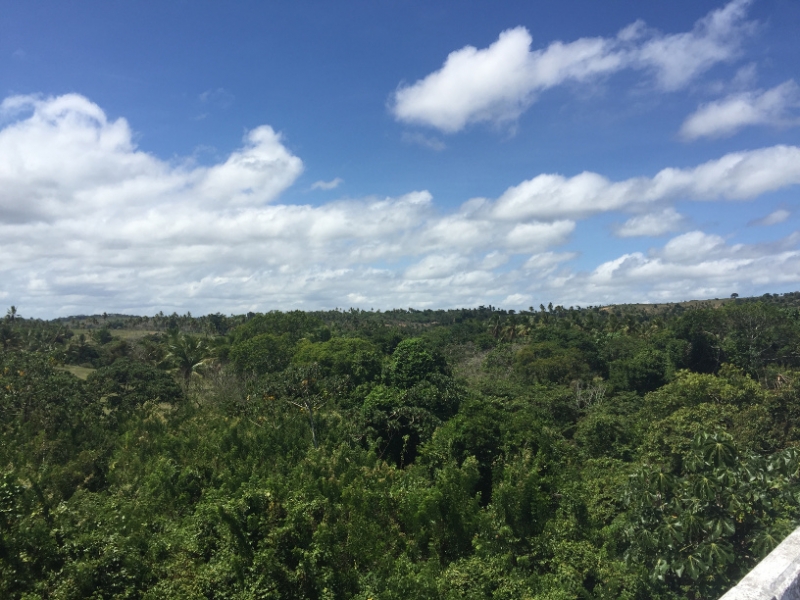 1684  29-12 view