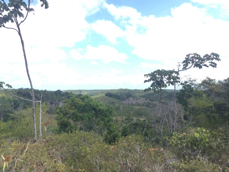 1685  29-12 view