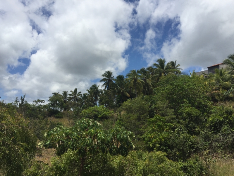 1693  30-12 view